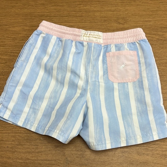 The Beaufort Bonnet Company Sea Wall Stripe Turtle Bay Swim Trunks size 10 boys - Picture 2 of 11